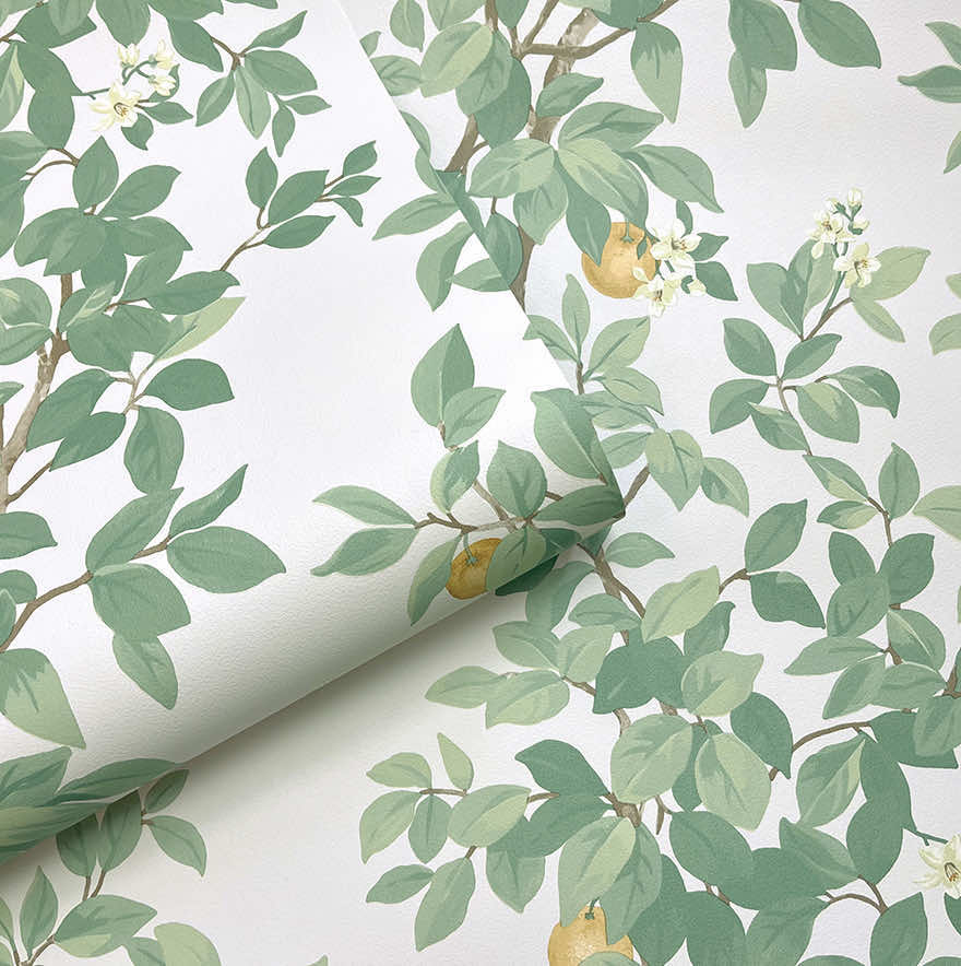 Sample – Orange Tree Wallpaper – Cream Green