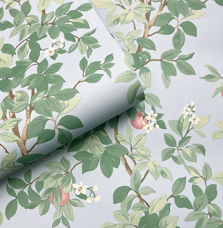 Sample – Orange Tree Wallpaper – Sky Blue