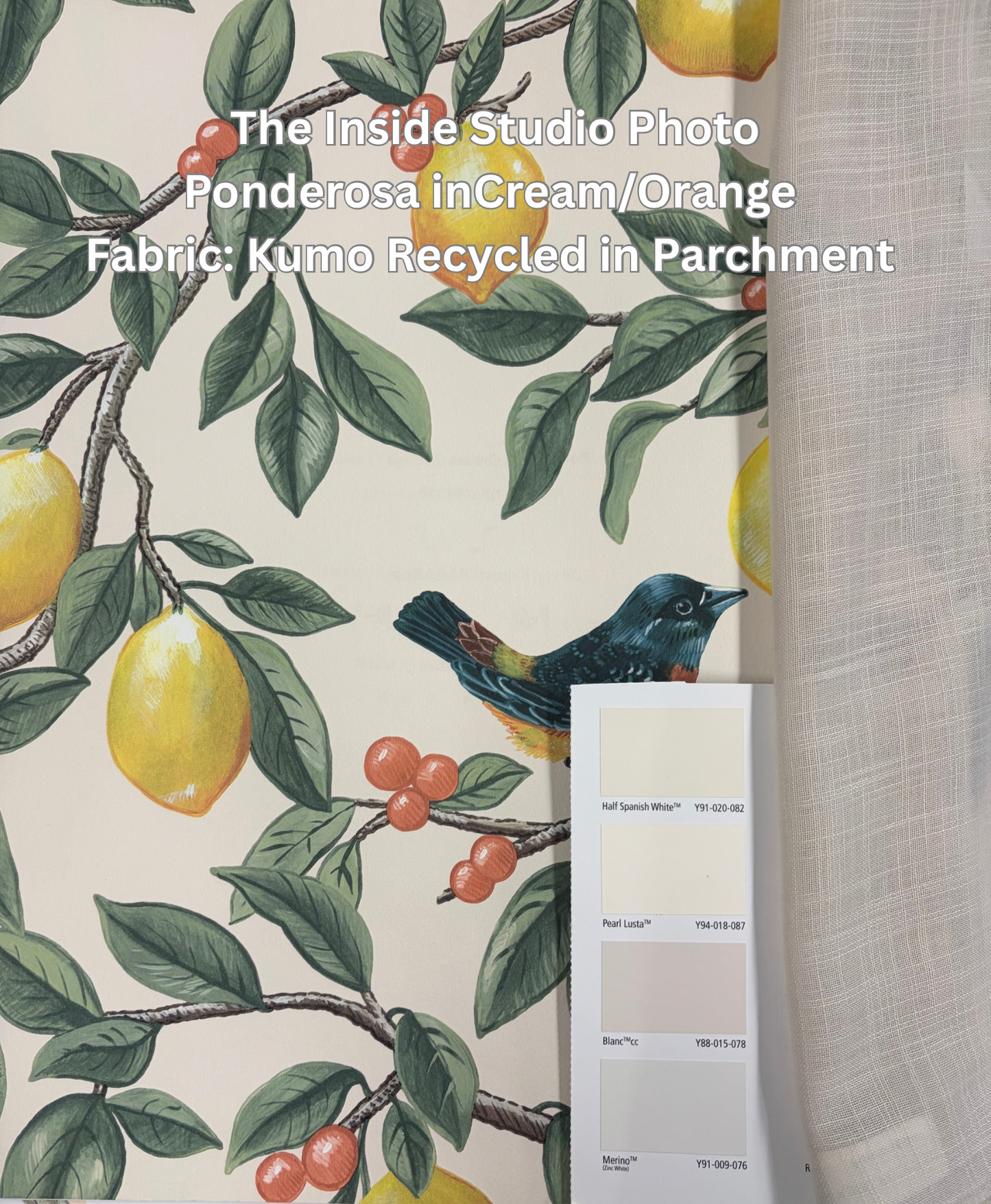 Ponderosa – Bird and Lemon Wallpaper – Cream/Orange