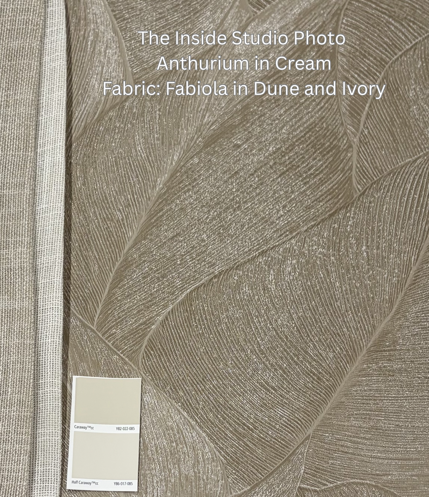 Anthurium Wallpaper - Beige