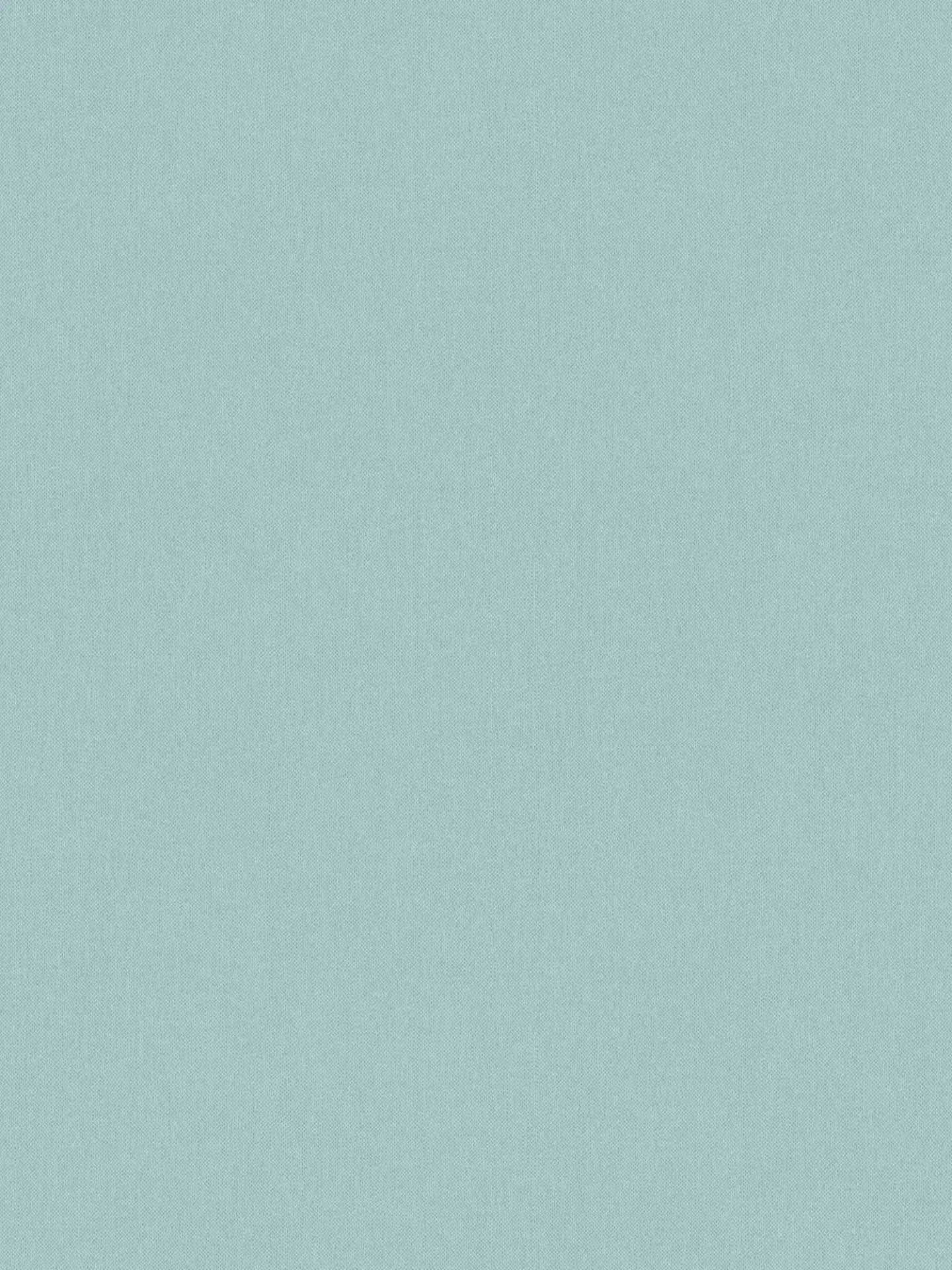 Art of Eden Plain Coordinate Wallpaper - Baby Blue