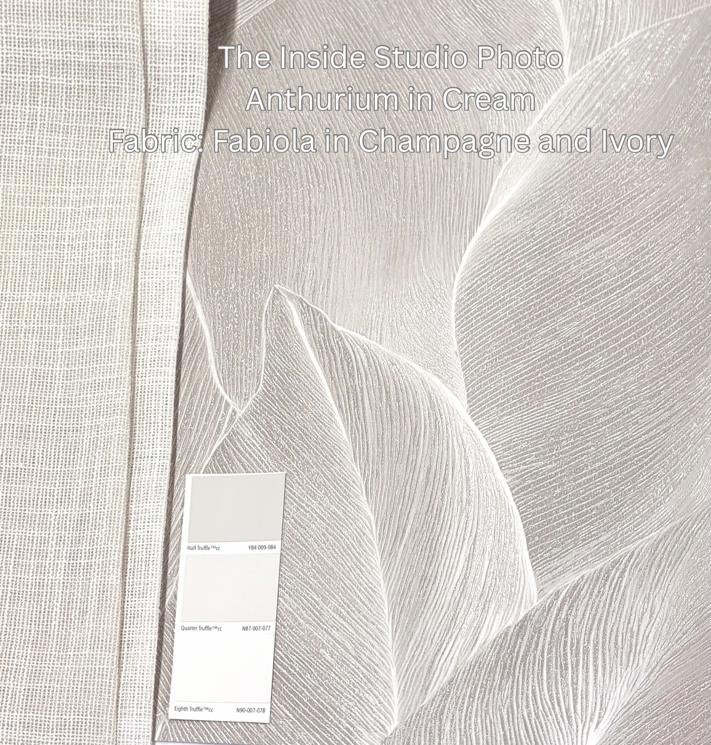 Anthurium Wallpaper - Cream