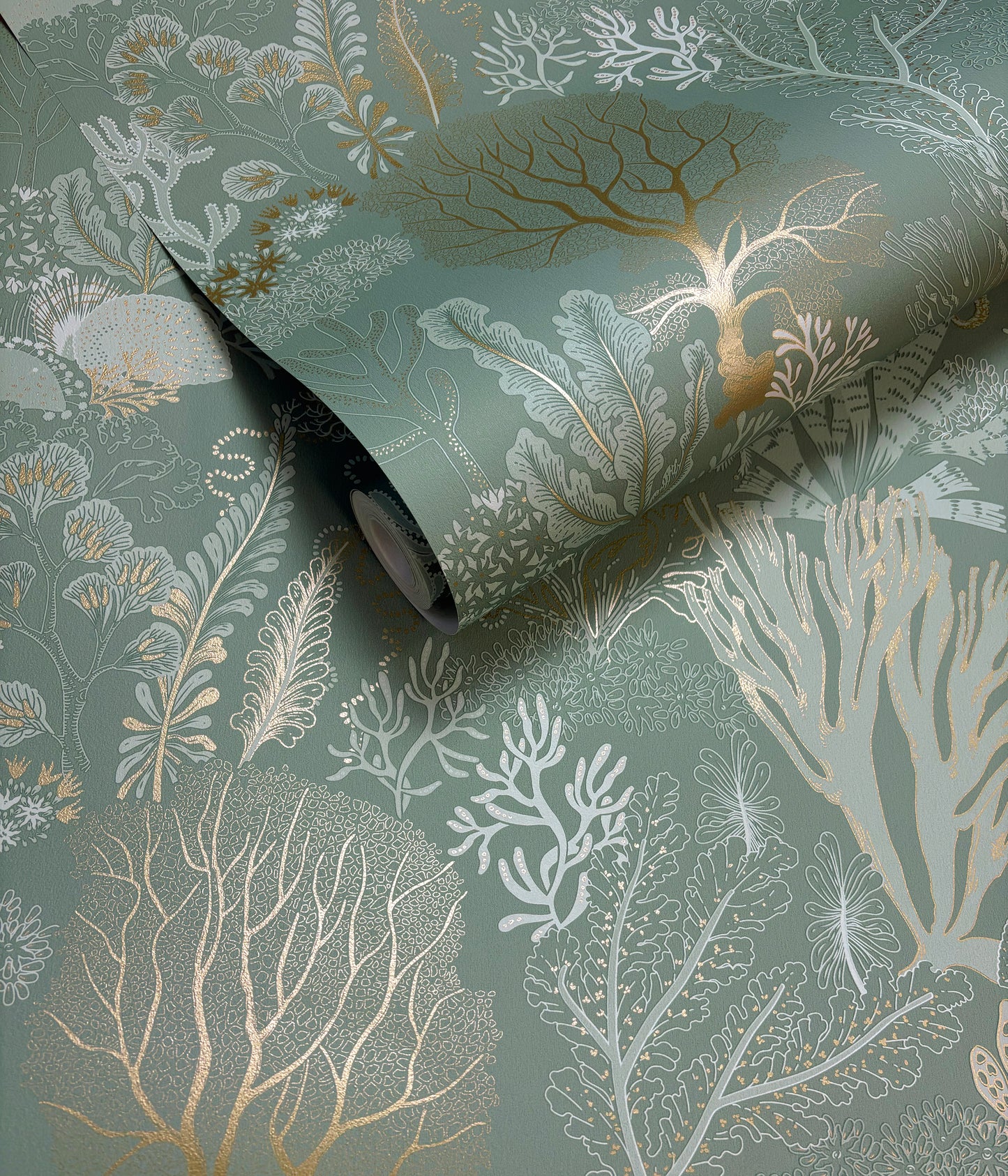 Sample - Nautilus Wallpaper - Aqua