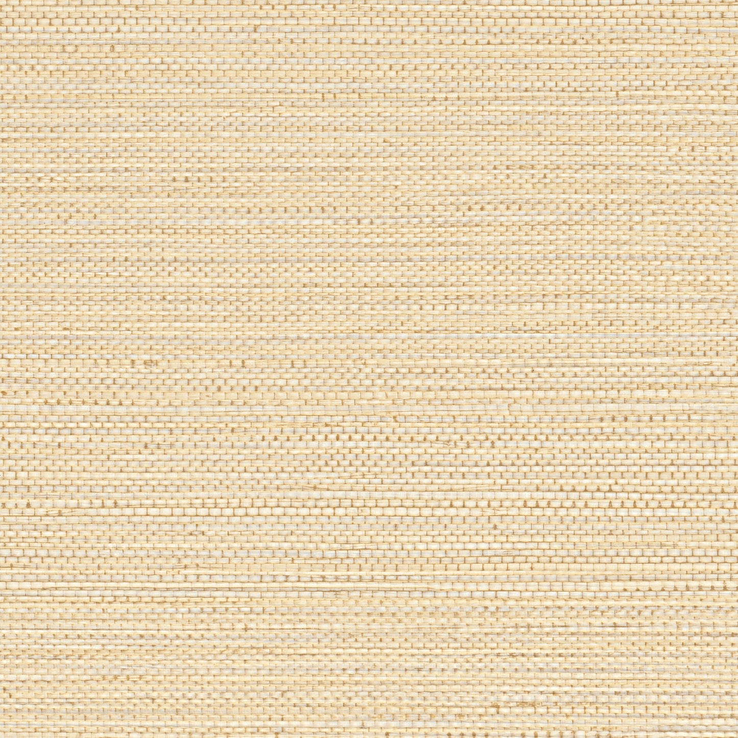 Sample - Zostera Seagrass Wallpaper - Bisque