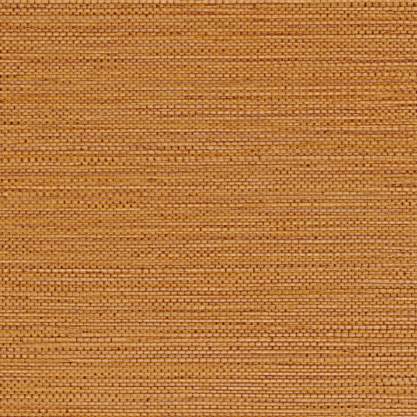 Sample - Zostera Seagrass Wallpaper - Tangerine