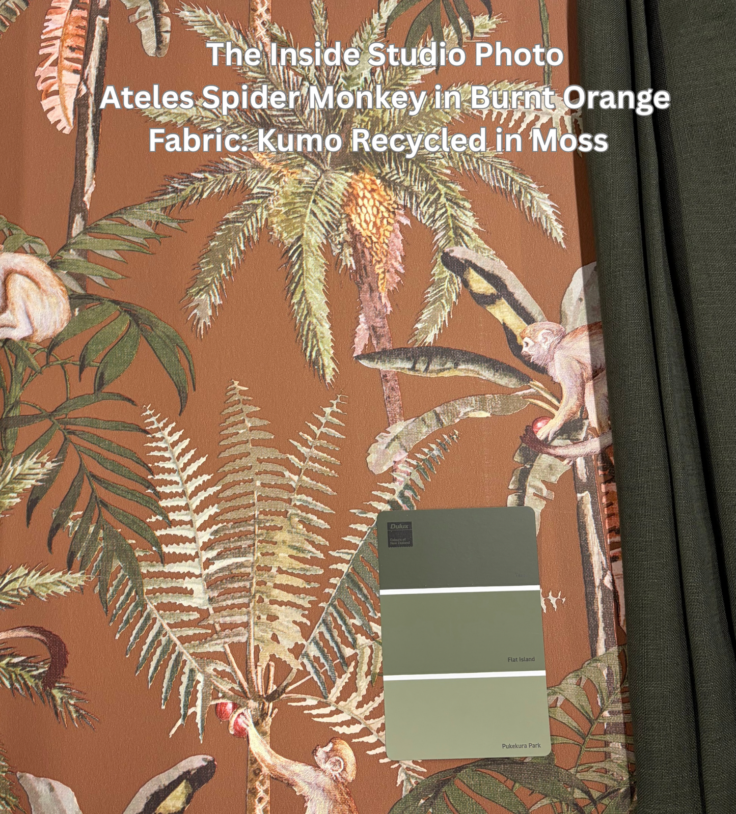 Ateles Spider Monkey Wallpaper - Burnt Orange - Discontinung