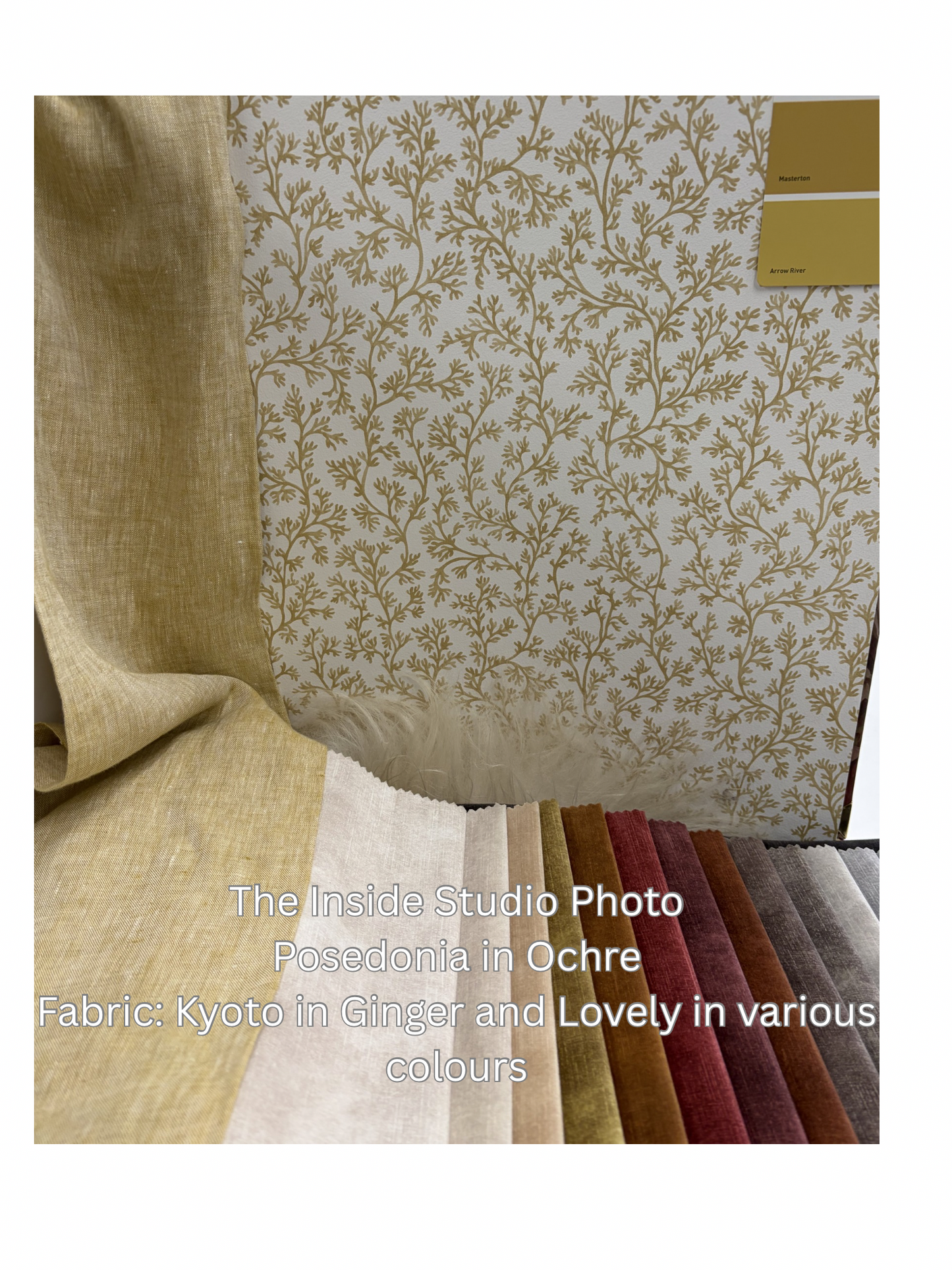 Posedonia Wallpaper – Ochre