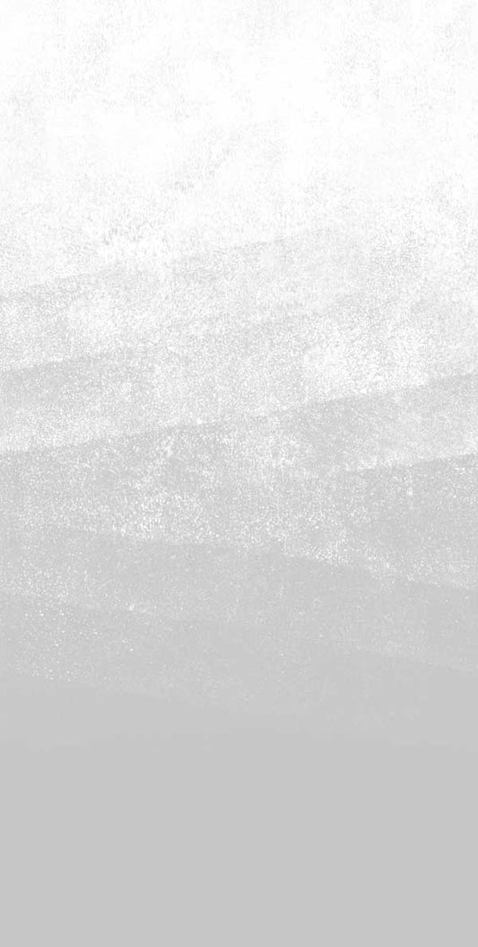 Misty Beach 2 - Hybrid Mural Wallpaper - Concrete