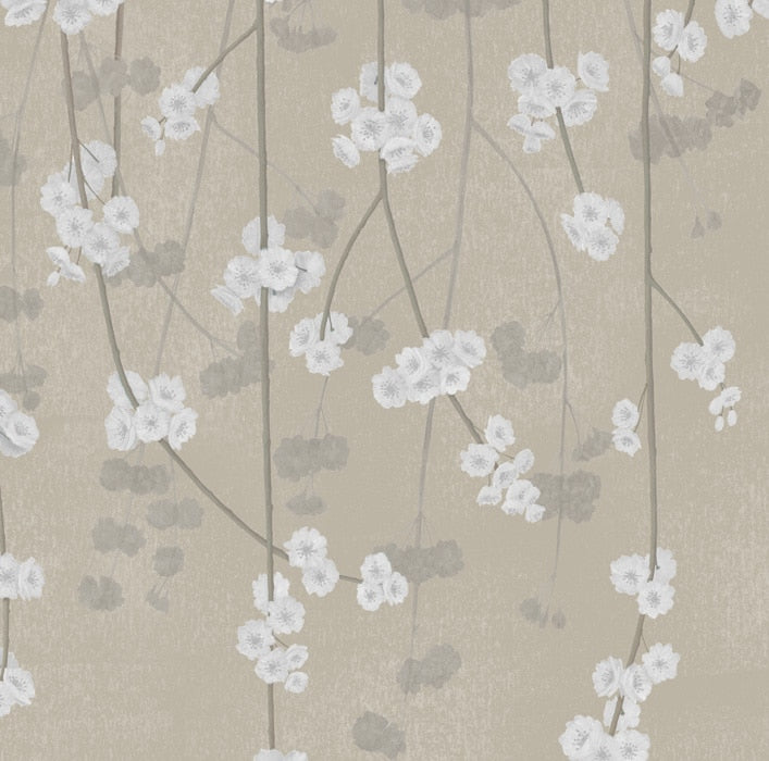 Sample - Cherry Blossom Wallpaper - Sand