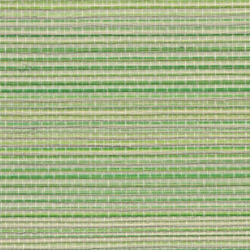 Sample - Agave Grasscloth Wallpaper - Emerald Green