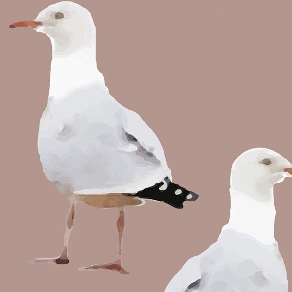 Sample – Two's Company Seagull Wallpaper - Pink Dust