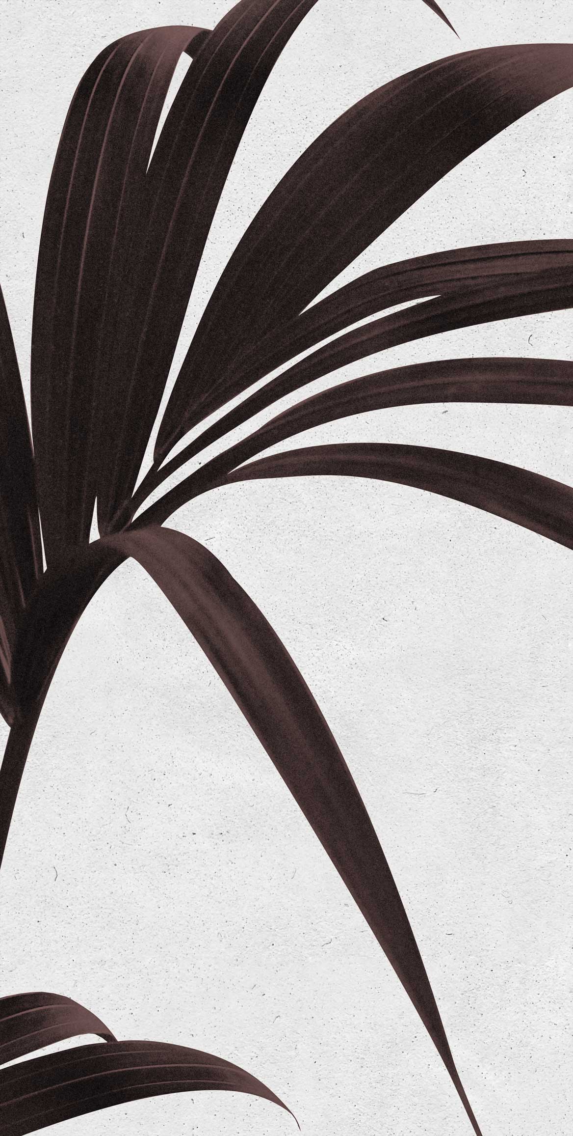 Humble - Custom Sized Wallpaper Mural (per/m2) - Brown