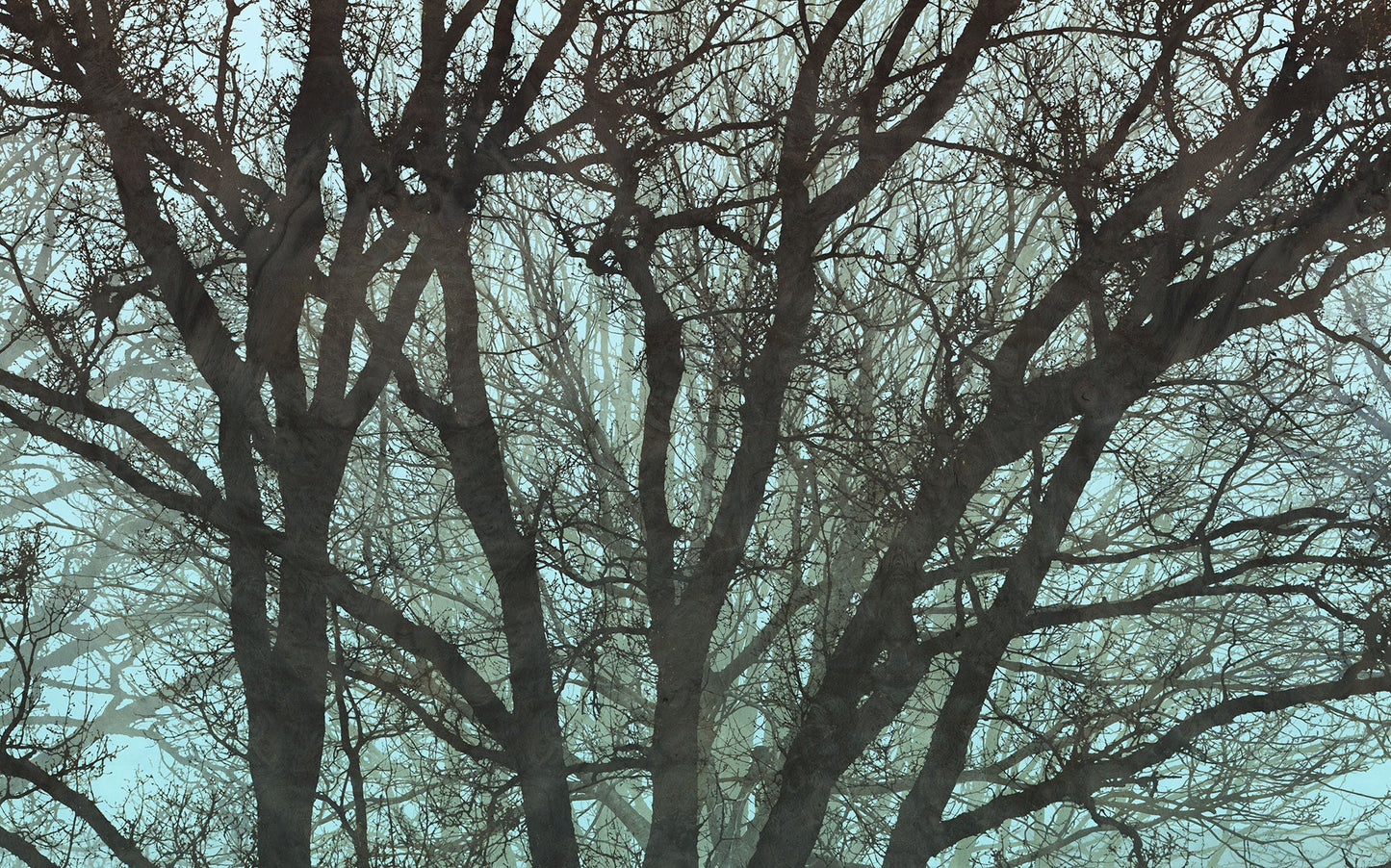 Sample – Whispering Woods - Custom Sized Wallpaper Mural (per m2)