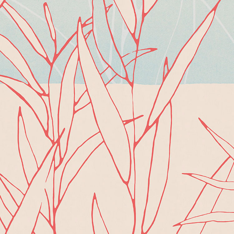 Plain - Custom Sized Mural Wallpaper (per m2)