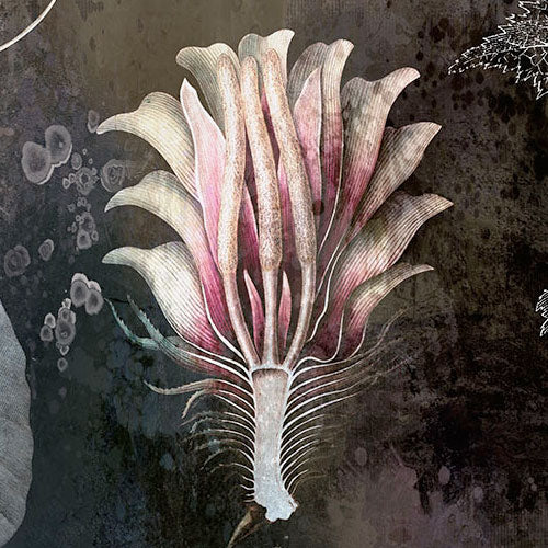 Night Flowers - Custom Sized Mural Wallpaper (per m2)