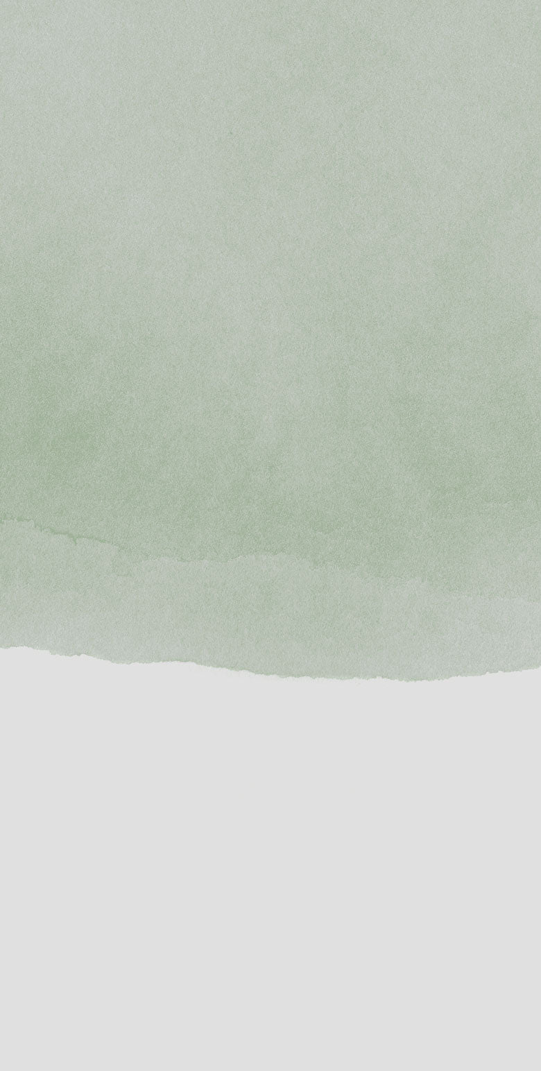 Sand - Sage - Custom Sized Wallpaper Mural (per m2)