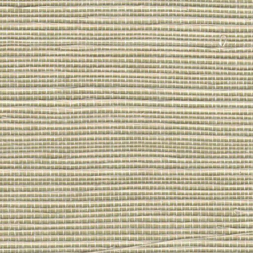 Sample - Bali 2 - Grasscloth Wallpaper - Canary Green