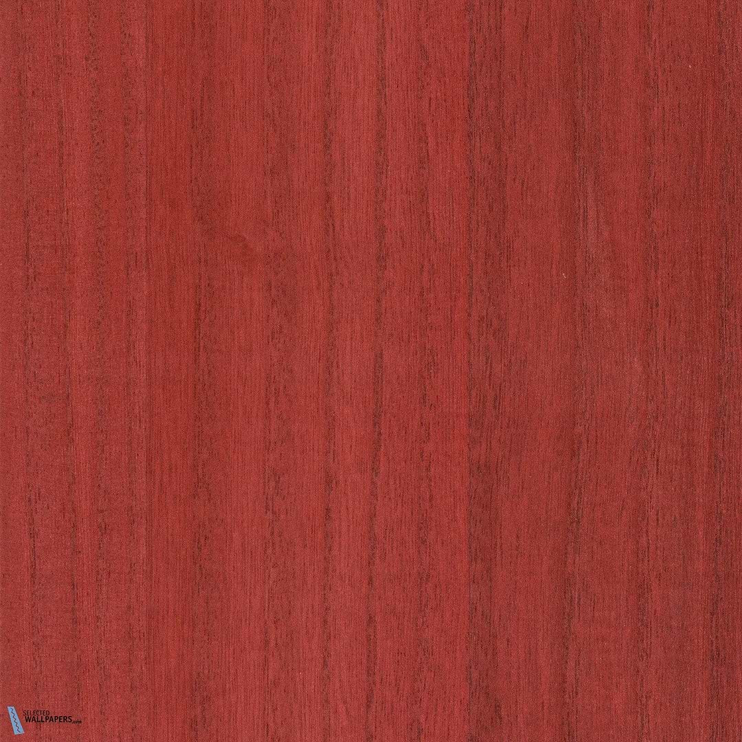 Sample - Paulownia - Wood Veneer Wallpaper - Goji Berry