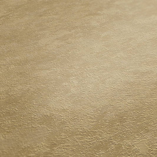 St. Petersberg Coordinates Wallpaper - Beige/Brown