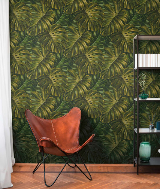 Monstera Jungle