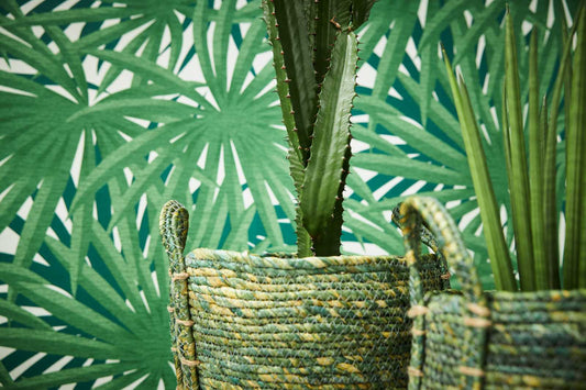 Marrakech Palms Wallpaper - Green - Discontinuing