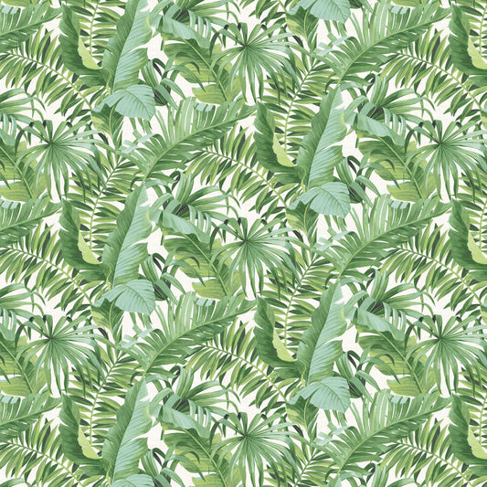 Baja Tropical Leaf Wallpaper