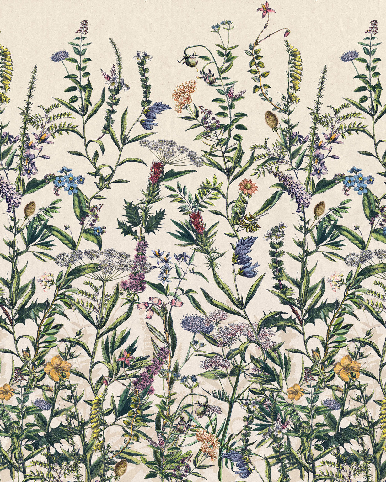 Sample – Flowering Herbs - Custom Sized Mural Wallpaper (per m2)