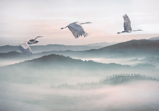 Mystic Cranes - Custom Sized Mural Wallpaper (per m2)