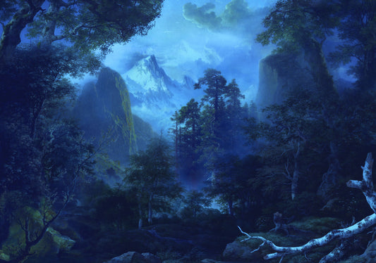 Midnight - Custom Sized Mural Wallpaper (per m2)