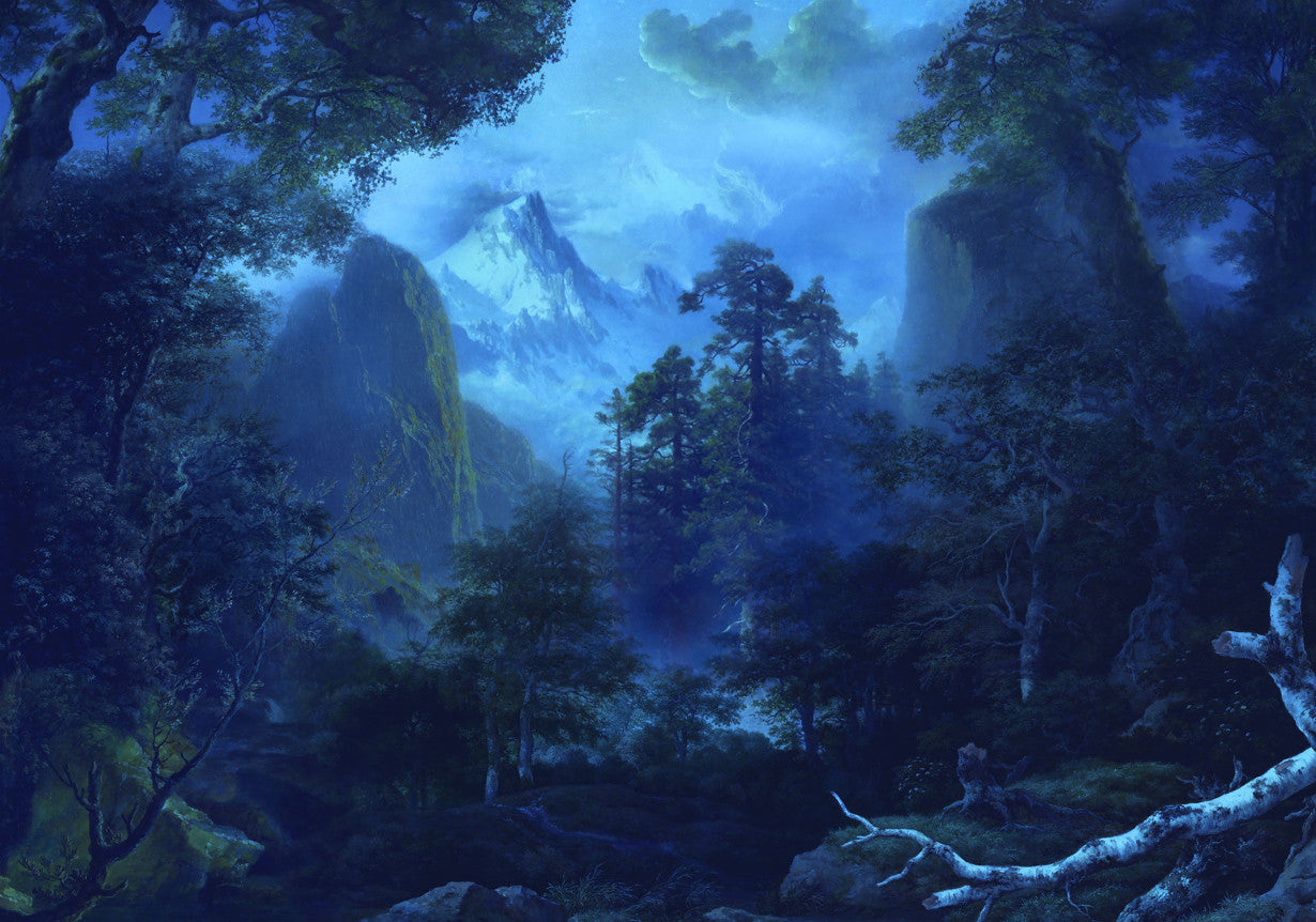 Sample – Midnight - Custom Sized Mural Wallpaper (per m2)