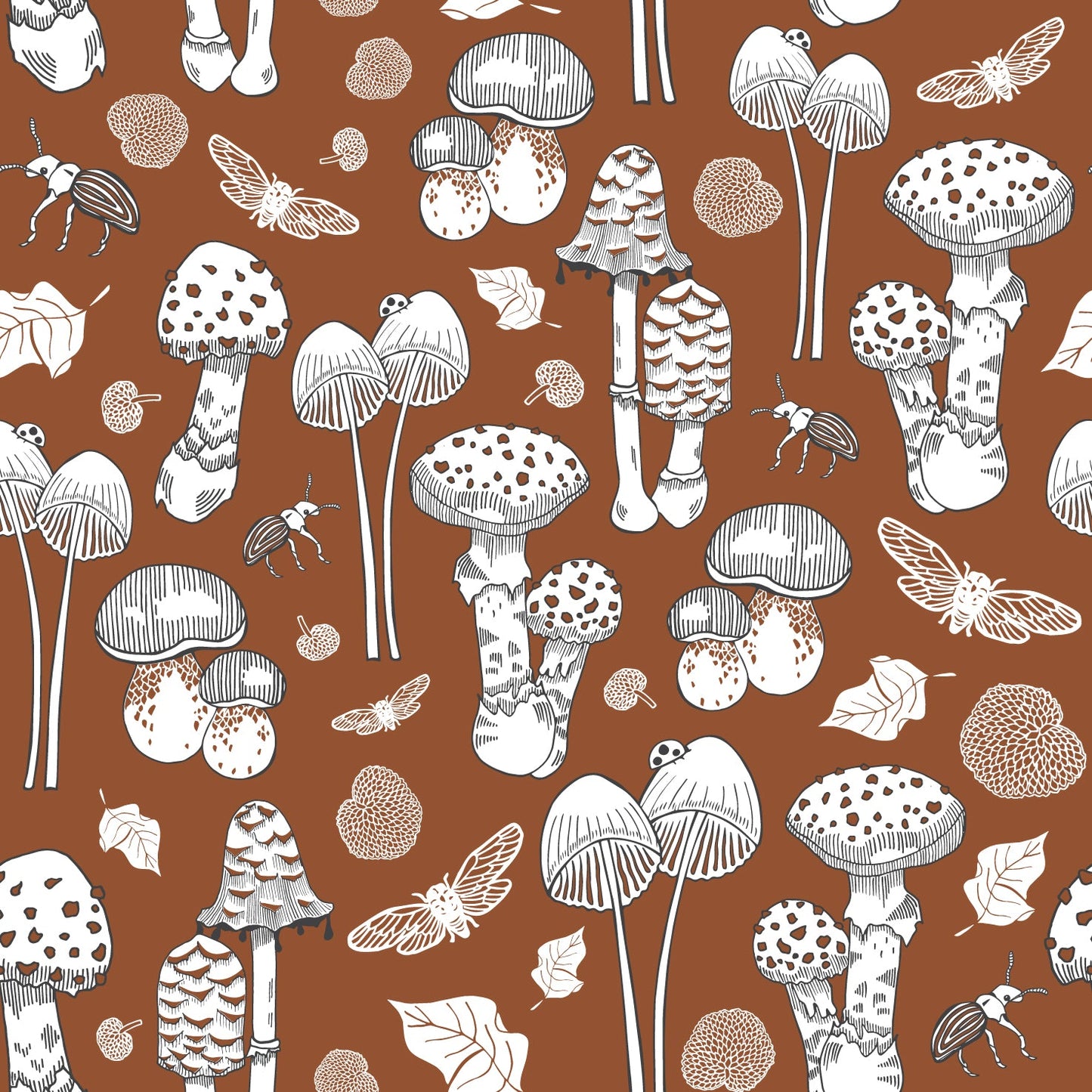 Sample - Fungi - NZ Wallpaper - Autumn
