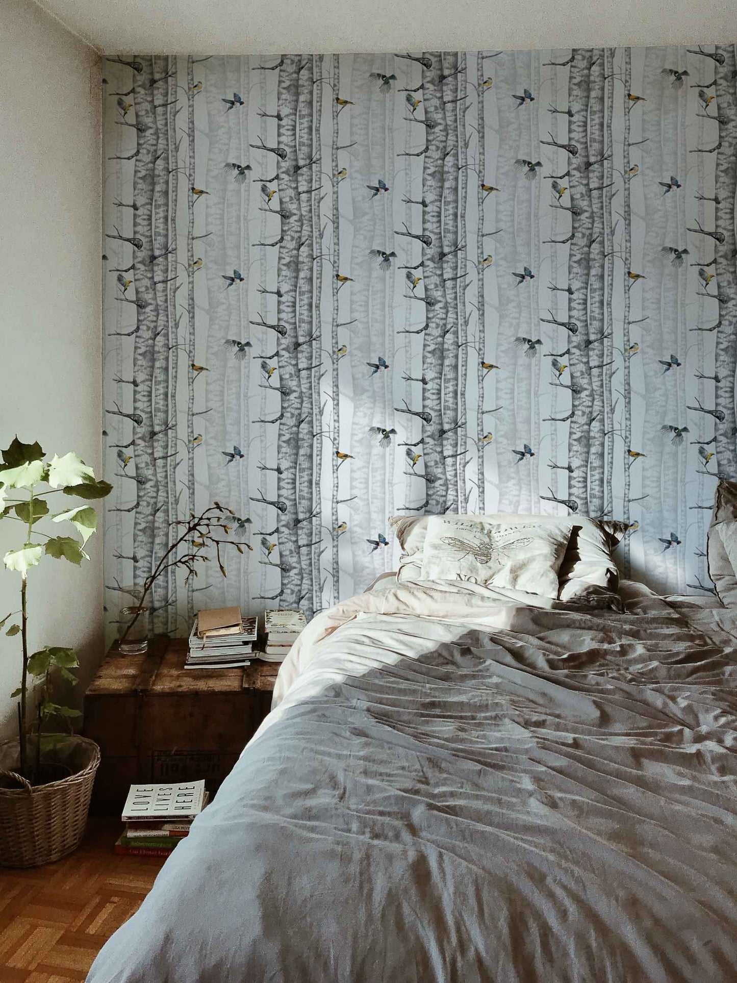 Birch Trees Wallpaper - White/Grey