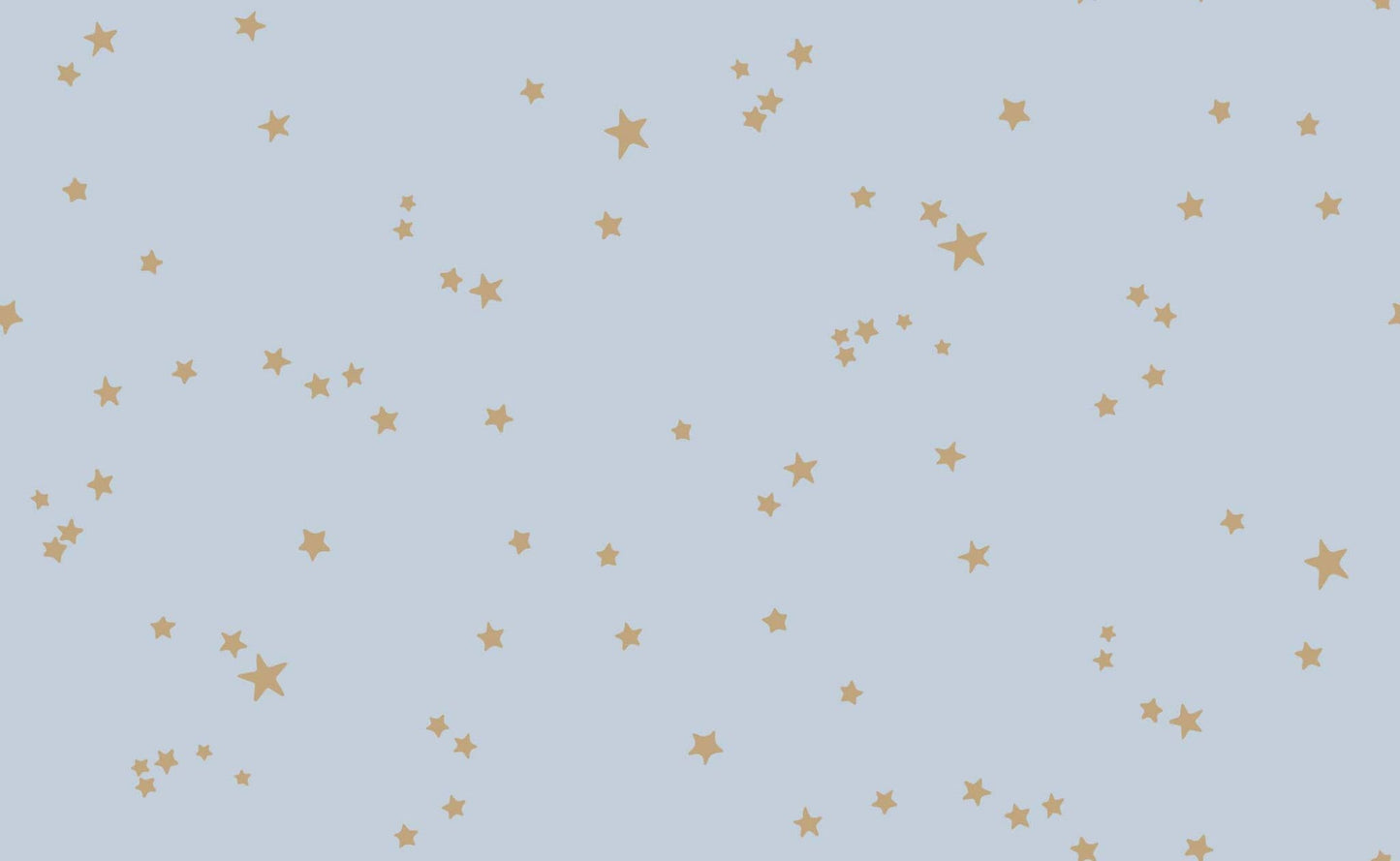 Stars Wallpaper - Cole and Sons - Powder Blue