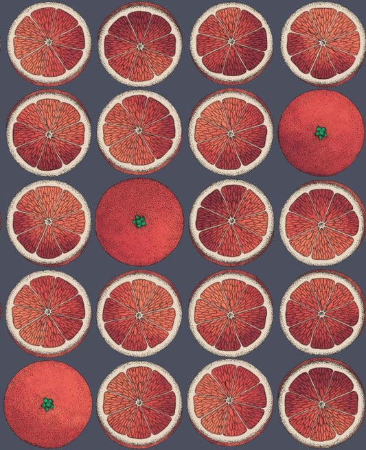 Arance Citrus Wallpaper - Blood Orange
