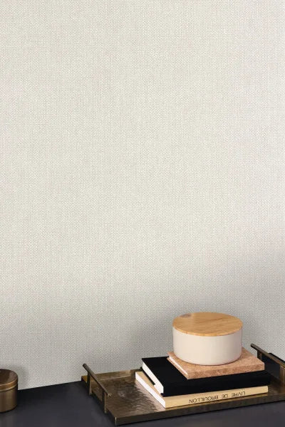 Uni Mat Wallpaper - Gris Lin Moyen