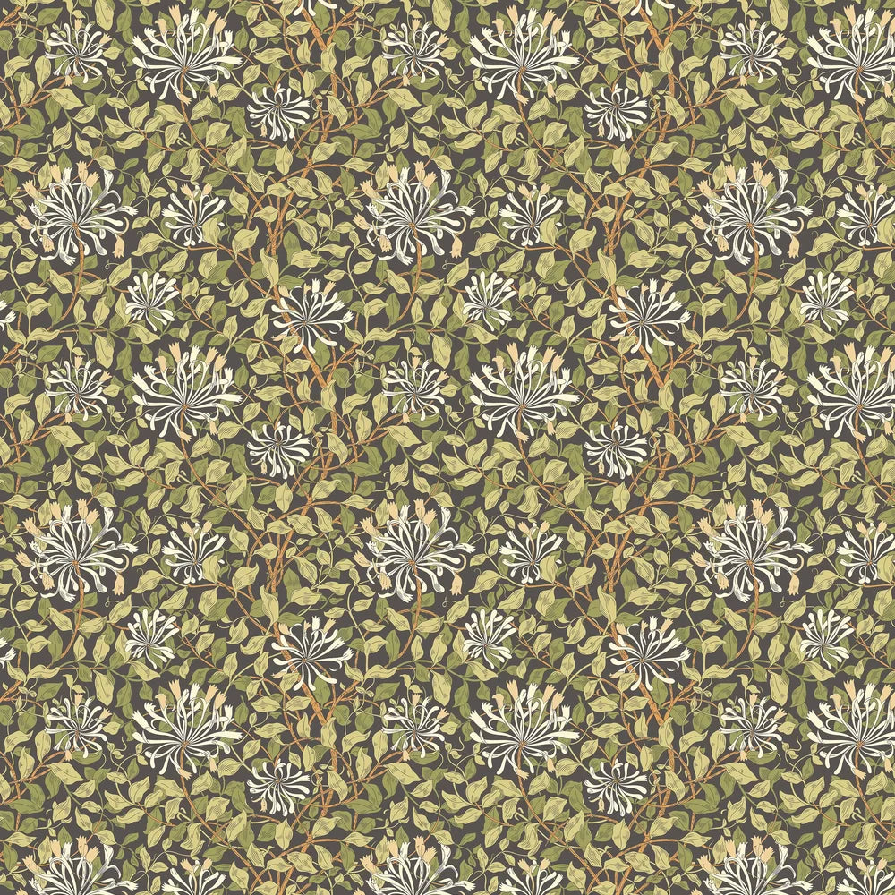 Honeysuckle Leaf Trail Wallpaper - Ohpopsi - Chalkboard