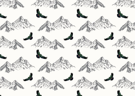 Arthurs Pass Kea Wallpaper