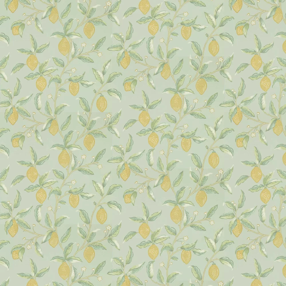 Lemon Tree by Morris Wallpaper - Sage