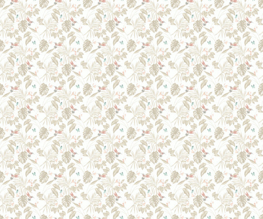 Hummingbird Wallpaper - Ohpopsi - Oyster