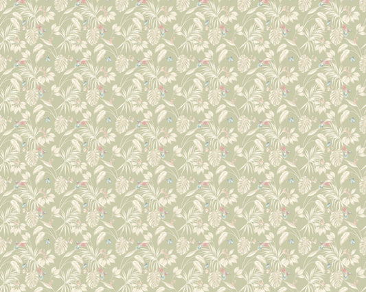 Hummingbird Wallpaper - Ohpopsi - Sage