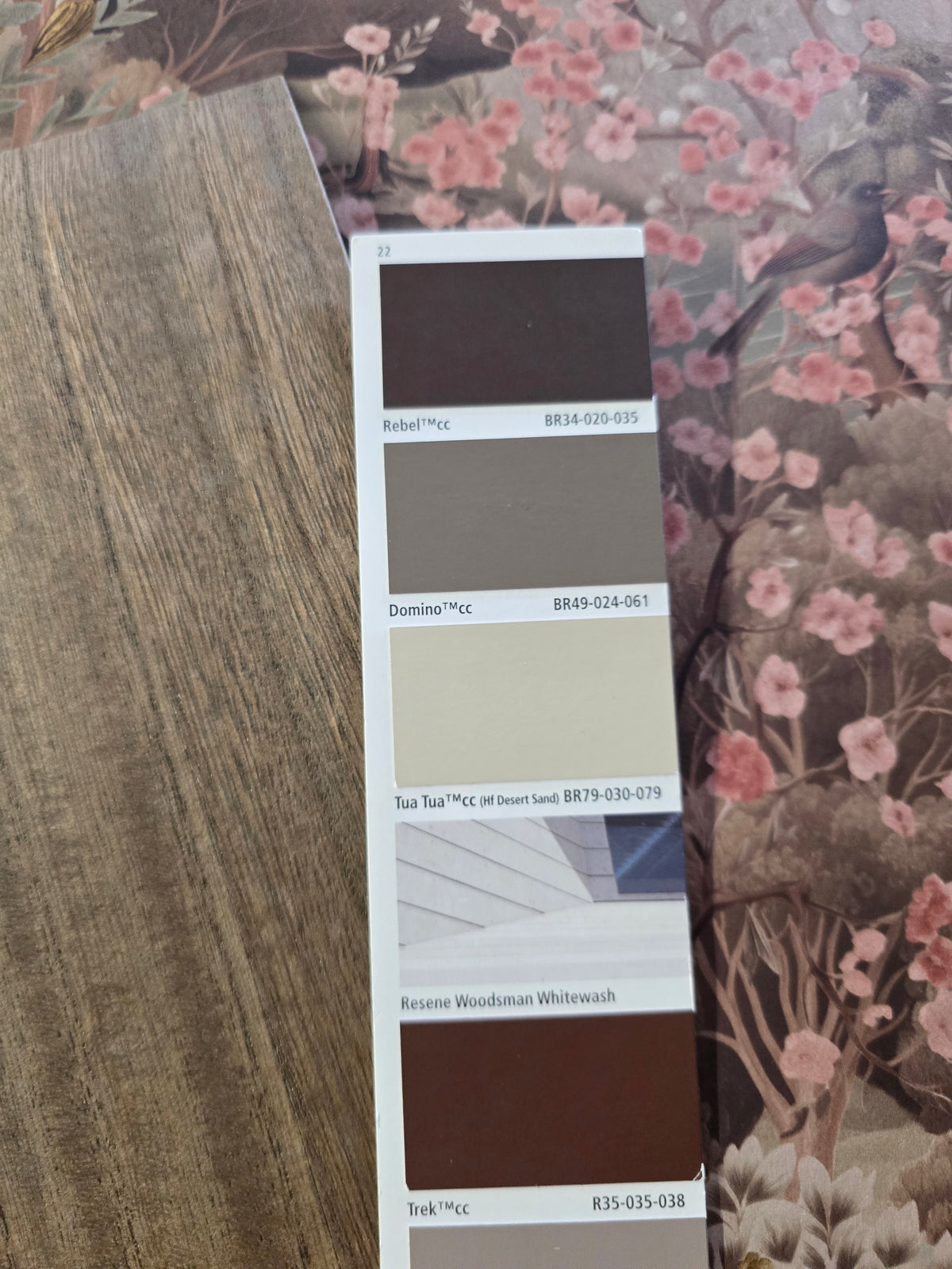 Sample – Paulownia - Wood Veneer WIDE Wallpaper - Light Walnut