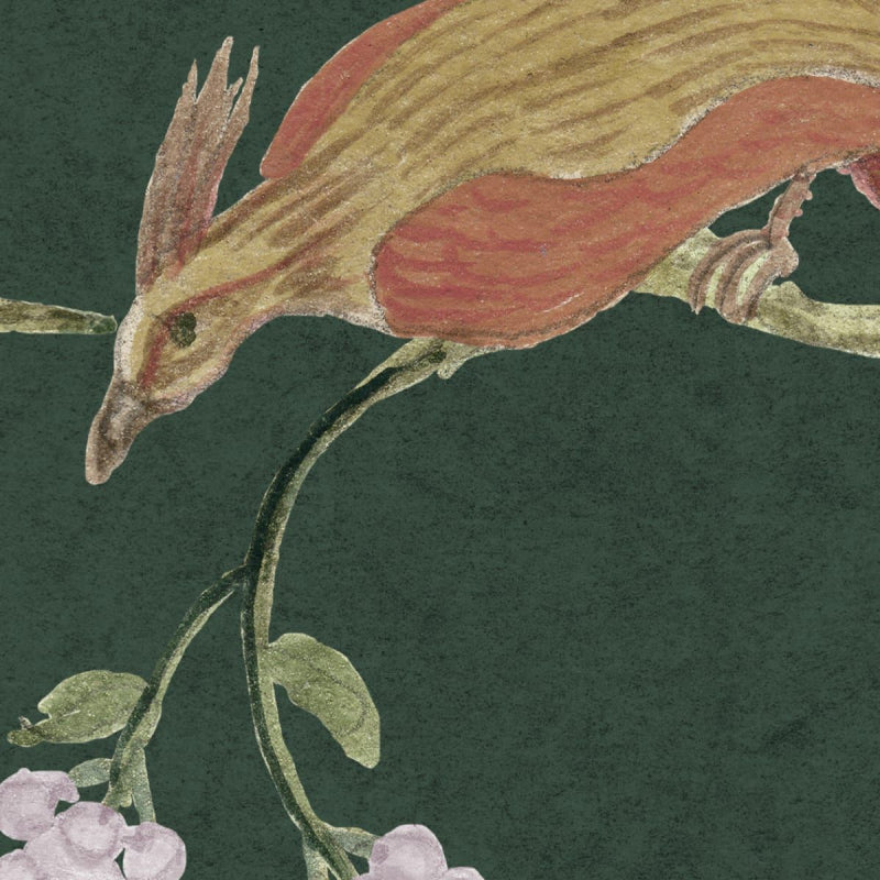 Sample - Songbirds - Forest - Custom Sized Wallpaper Mural (per m2)