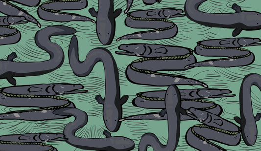 Eel Wallpaper - Green