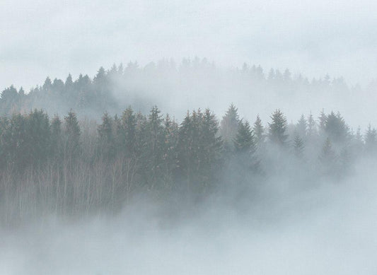 Misty Forest Mural full pattern