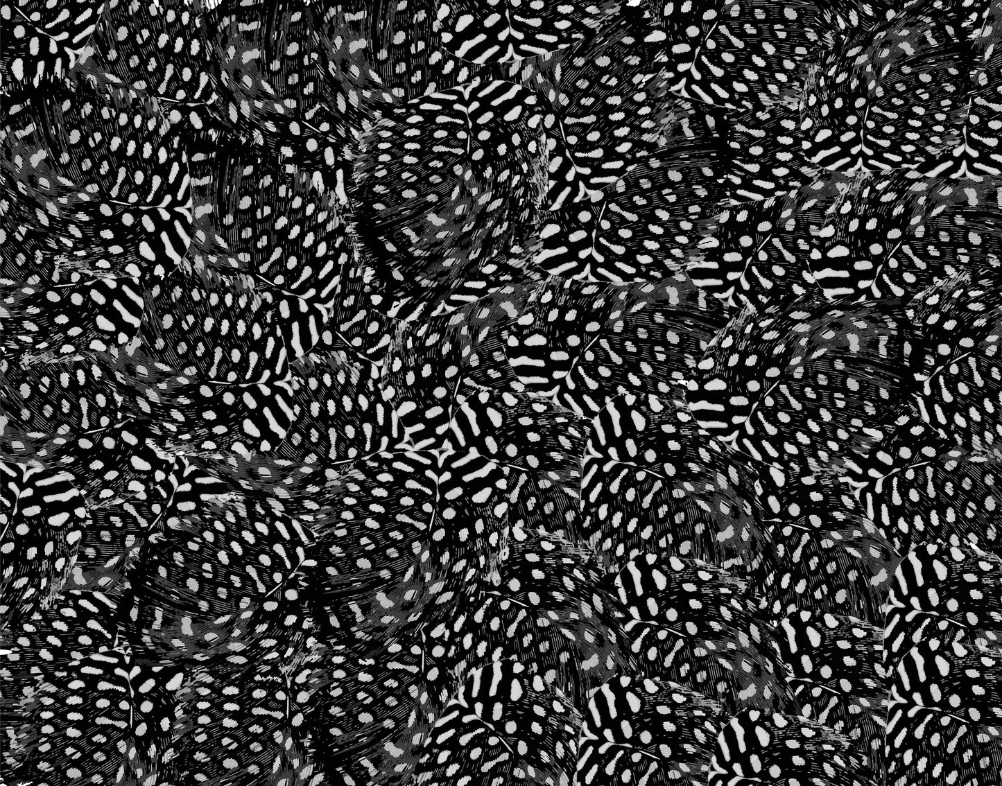 Pea Hen Feather Wallpaper - Greyscale