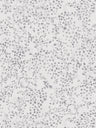 Tiny Tendrils Wallpaper - Grey/Silver/White