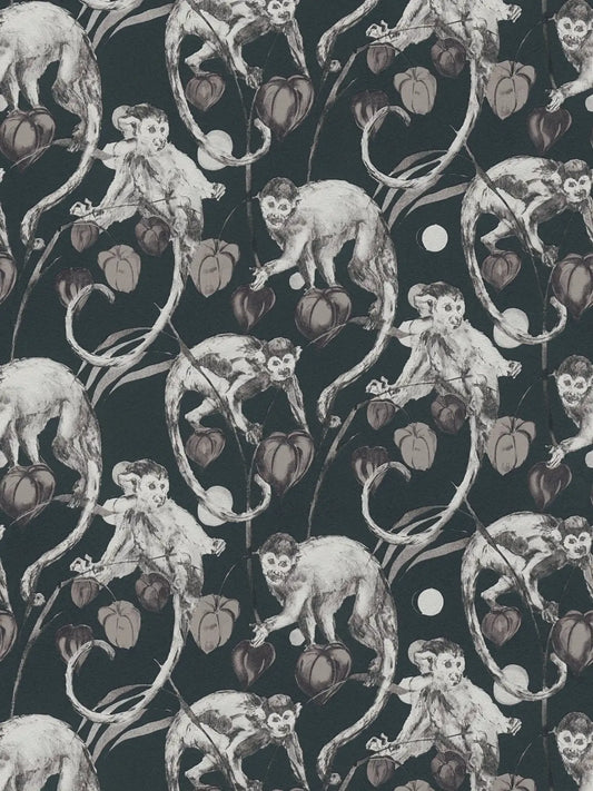 Mystery Monkey Vinyl Wallpaper - Ebony