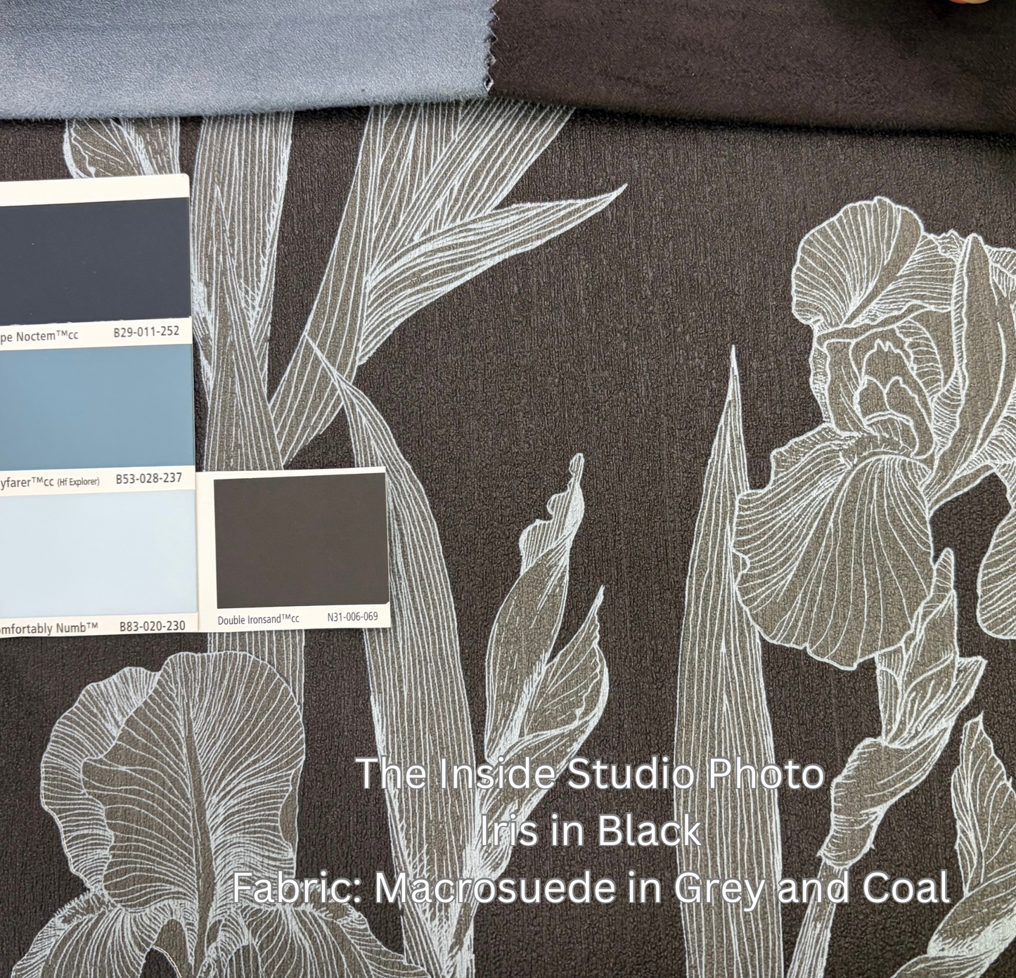 Iris - Floral Daniel Hechter Wallpaper - Black