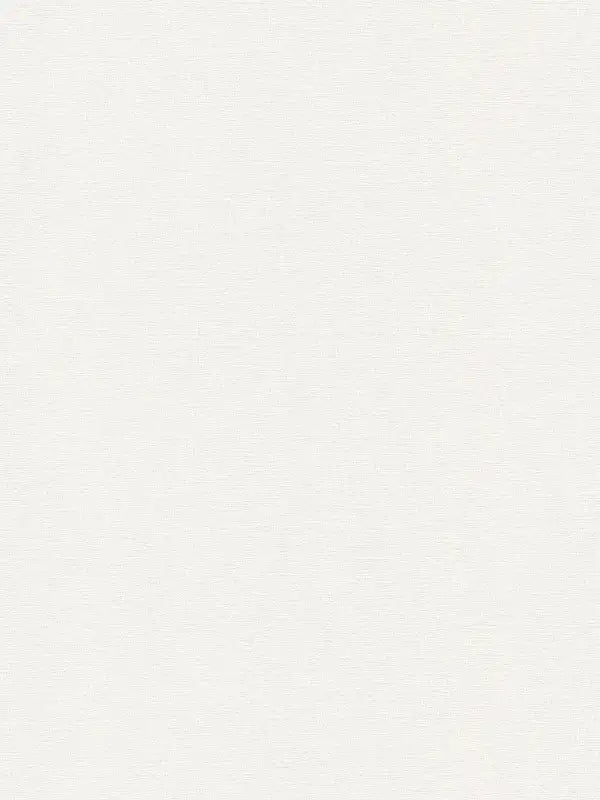 Sample - Greenery Plain Coordinates - Cream
