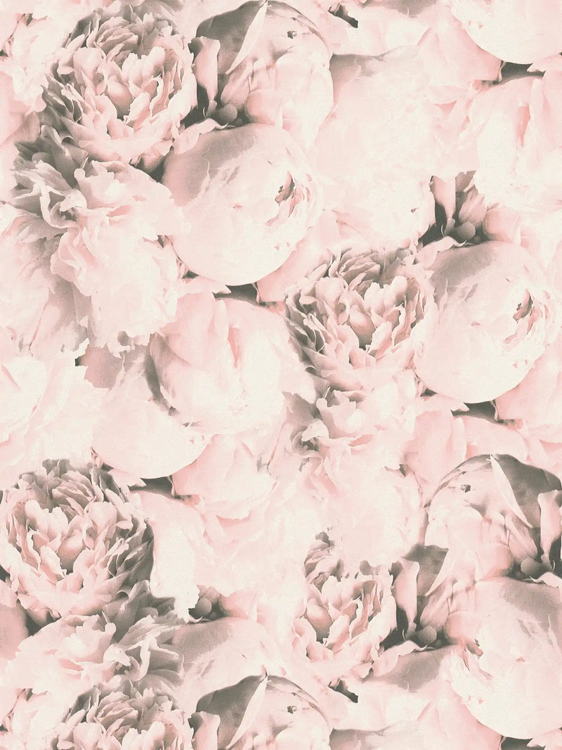 Peony Wallpaper - Pink Wash
